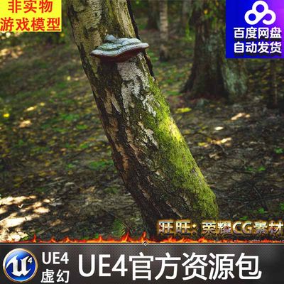 UE4虚幻5 白桦林桦树森林植被场景 MW Birch Trees Forest Biome