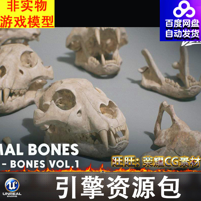 UE5.0史前动物鲸鱼残骸恐龙头骨颅骨下颚骨鱼骨肋骨牙齿骨头化石