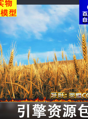 UE5 小麦稻谷田野场景Nanite Foliage - Wheat Field