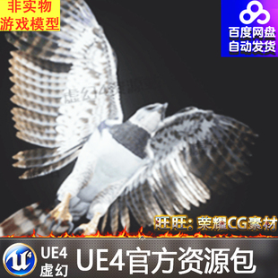 UE4虚幻4 Harpy Eagle 飞鸟角雕老鹰动物模型