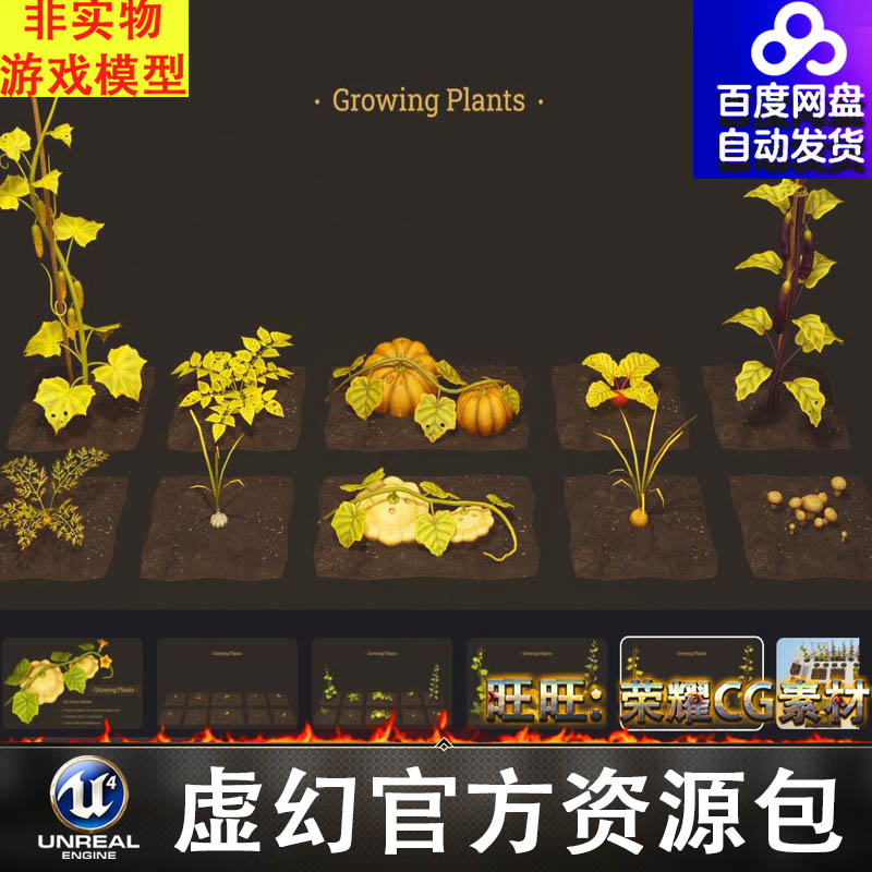 UE农场蔬菜植物茄子大蒜南瓜萝卜蘑菇种植FBX不同生长阶段Growing