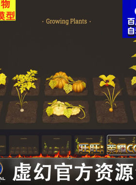 UE农场蔬菜植物茄子大蒜南瓜萝卜蘑菇种植FBX不同生长阶段Growing