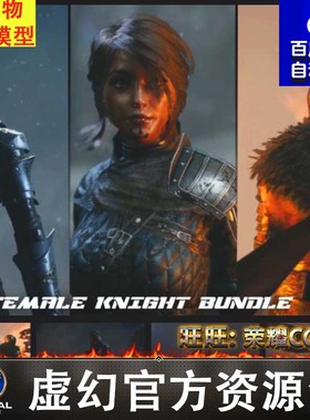 UE4虚幻Female Knight Bundle 01 4.27 Quang Phan女战士骑士模型
