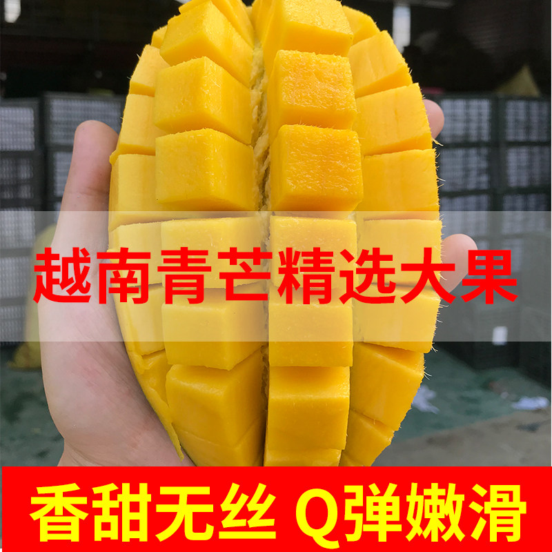 大青芒正宗越南大芒果青皮青皮金煌芒净果9斤新鲜包邮送礼大果