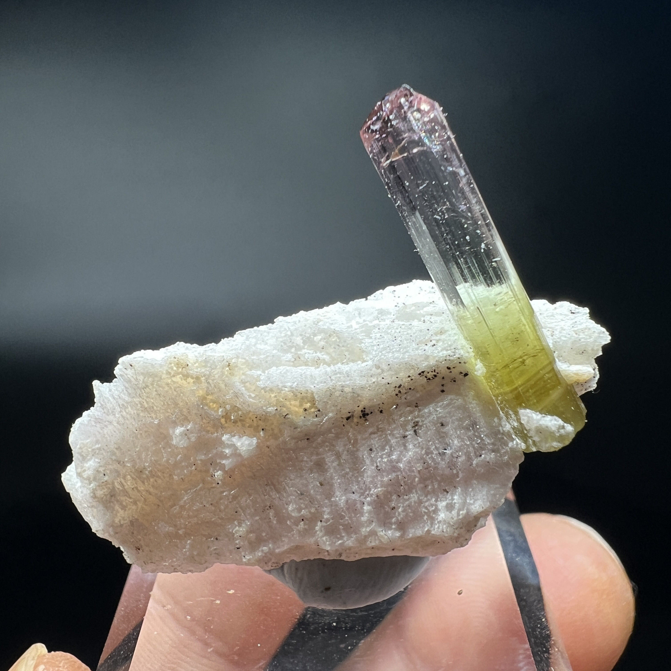 碧玺Tourmaline 精品 矿物晶体 矿物标本 原石 宝石 收藏品 艺术
