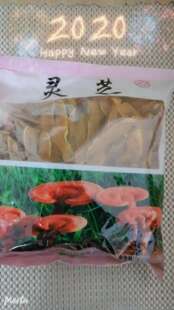 正品安惠灵芝片 通惠煲汤泡茶泡酒赤灵芝切片 促进睡眠抗毒素安神