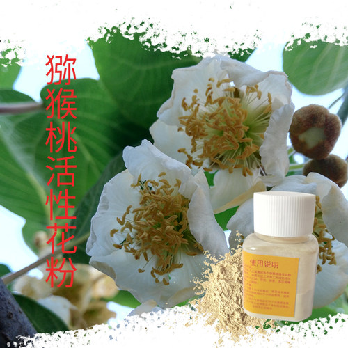 红心猕猴桃花粉软枣猕猴桃花粉
