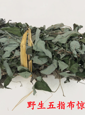 野生黄荆叶黄荆子五指布惊叶布惊子布惊仁布荆叶五指柑枝叶中草药