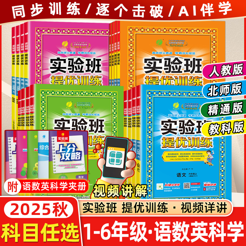 新版实验班提优训练小学