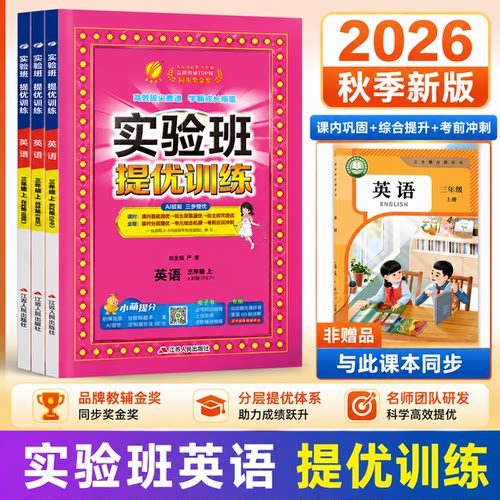 新版实验班提优训练小学