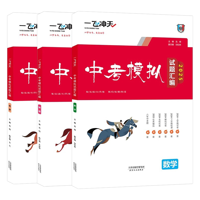 2024一飞冲天中考模拟试题汇编