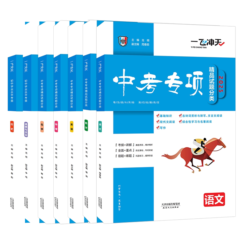 一飞冲天中考专项语数英物化政史
