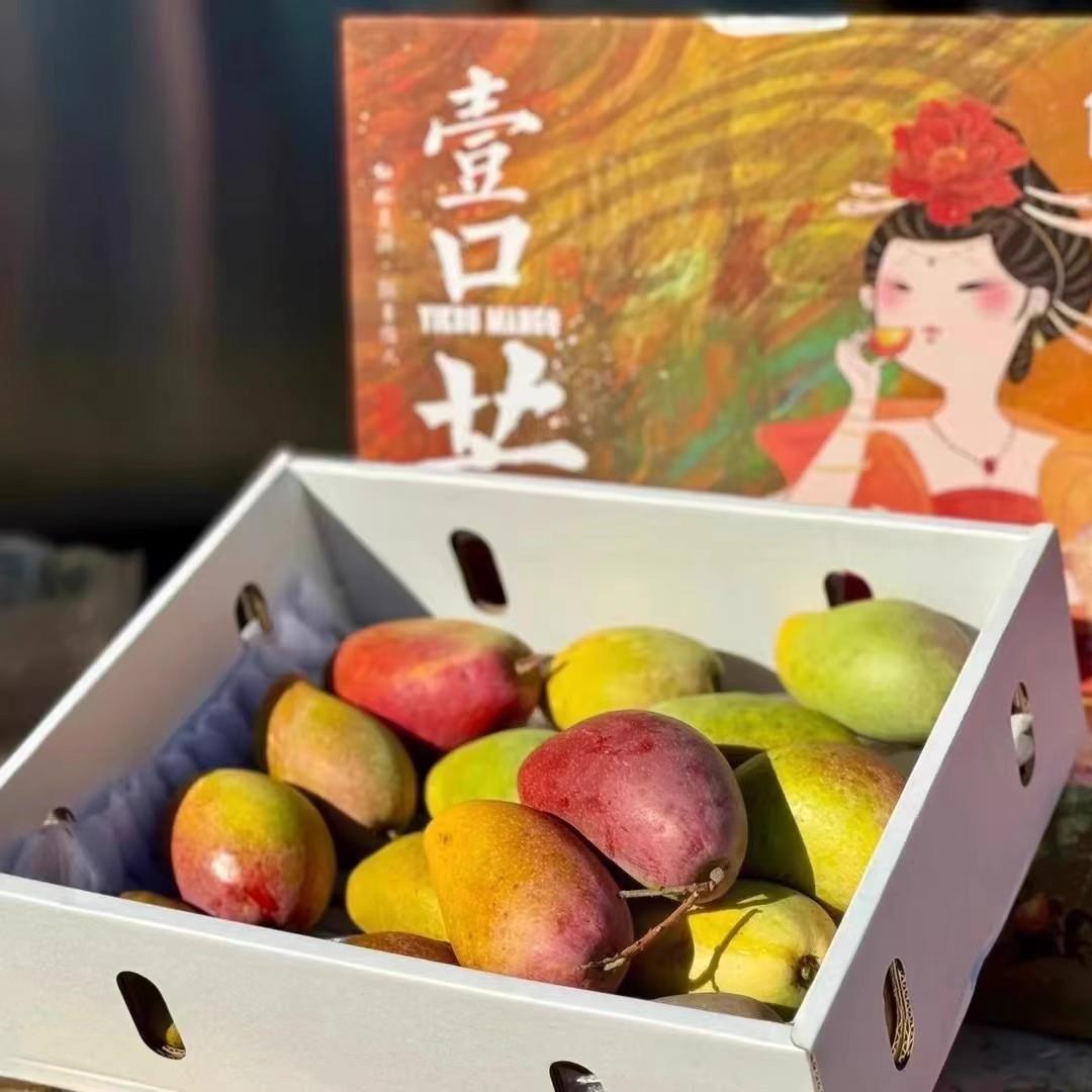 海南三亚树上熟贵妃芒果4斤礼盒装大果达鲜品牌皮薄多汁肉厚核小