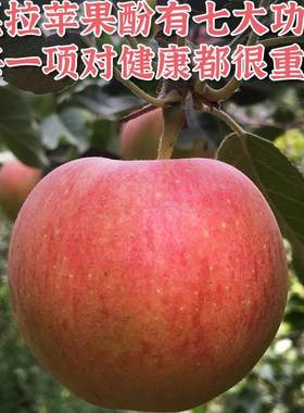 嘎啦苹果新鲜水果产自新疆当季脆甜多汁小苹果整箱加力果5斤