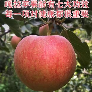 嘎啦苹果新鲜水果产自新疆当季脆甜多汁小苹果整箱加力果5斤