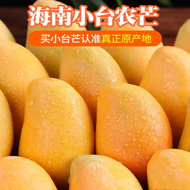 海南小台芒新鲜10斤小芒果鲜果整箱应季特产水果小台农芒果大果甜