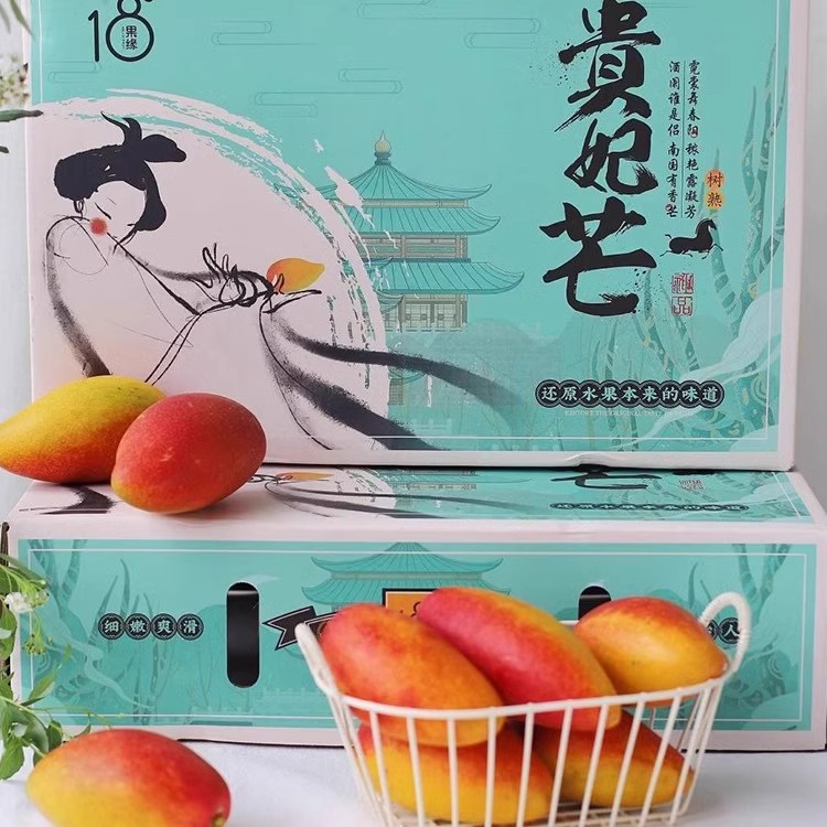 贵妃芒树上自然熟鸽子蛋小芒果海南三亚新鲜水果当季现摘