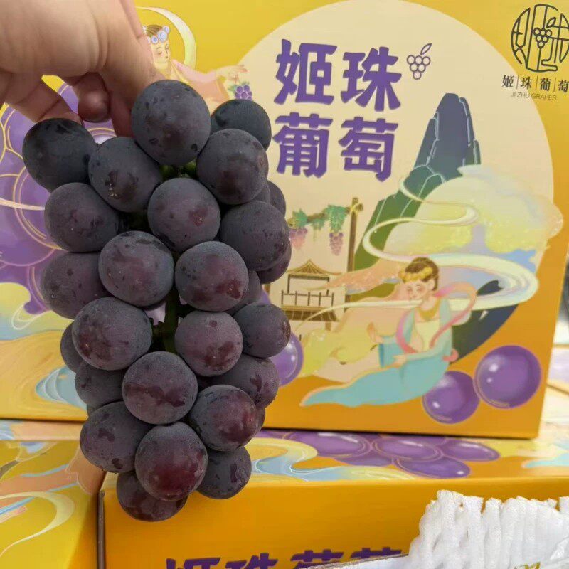 姬珠葡萄巨峰葡萄礼盒装5斤当季新鲜水果黑提子香甜多汁顺丰空运