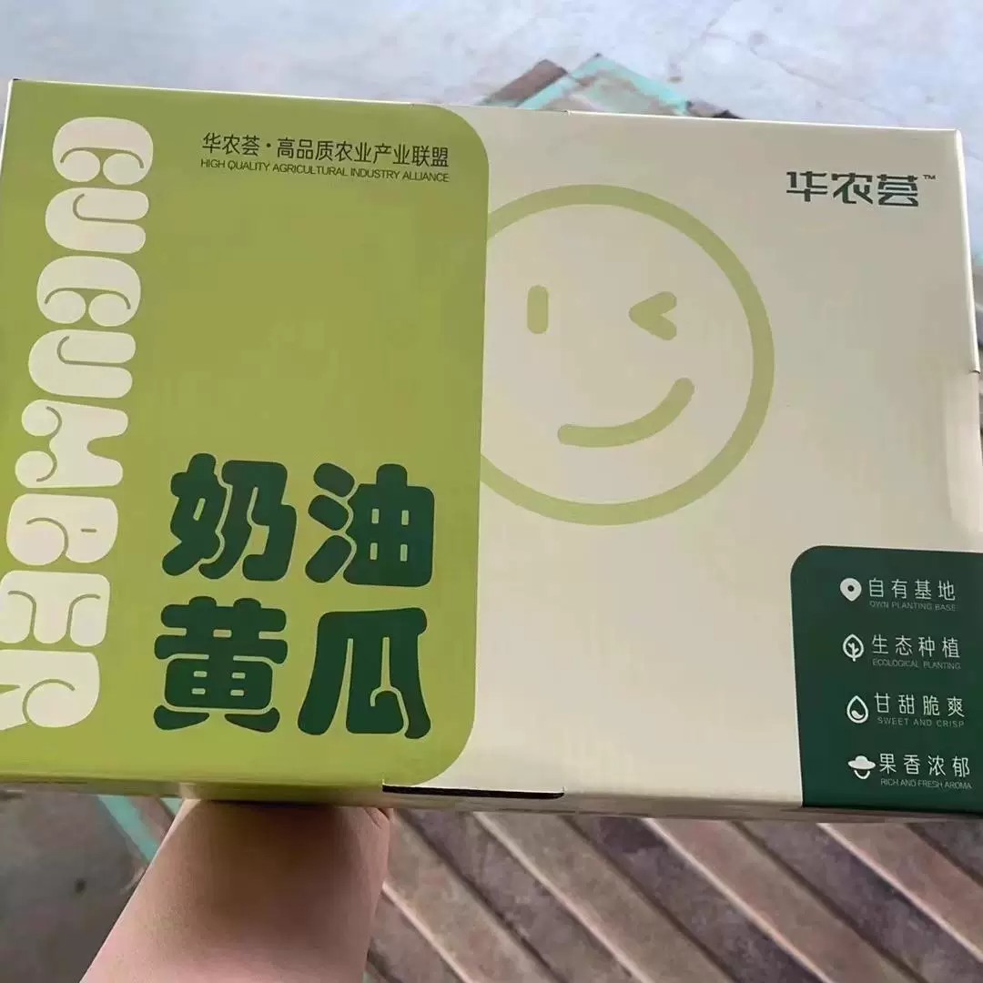 山东奶油小黄瓜白玉牛奶水果无刺黄瓜脆嫩清新水份充足礼盒装图片