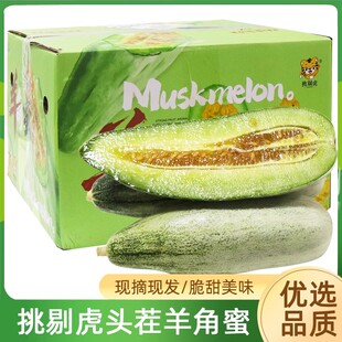 挑剔虎羊角蜜甜瓜新鲜水果整箱当季时令脆甜蜜瓜香瓜