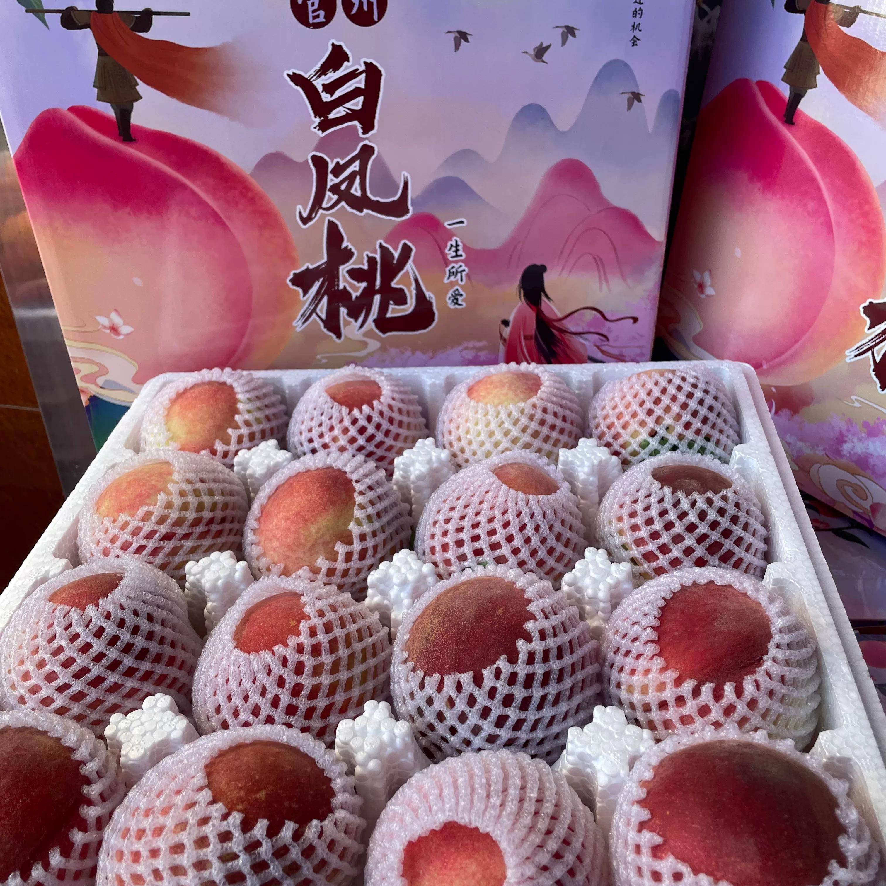 古田水蜜桃正宗白凤桃新鲜水果孕妇当季现摘孕妇宝宝甜脆桃子包邮