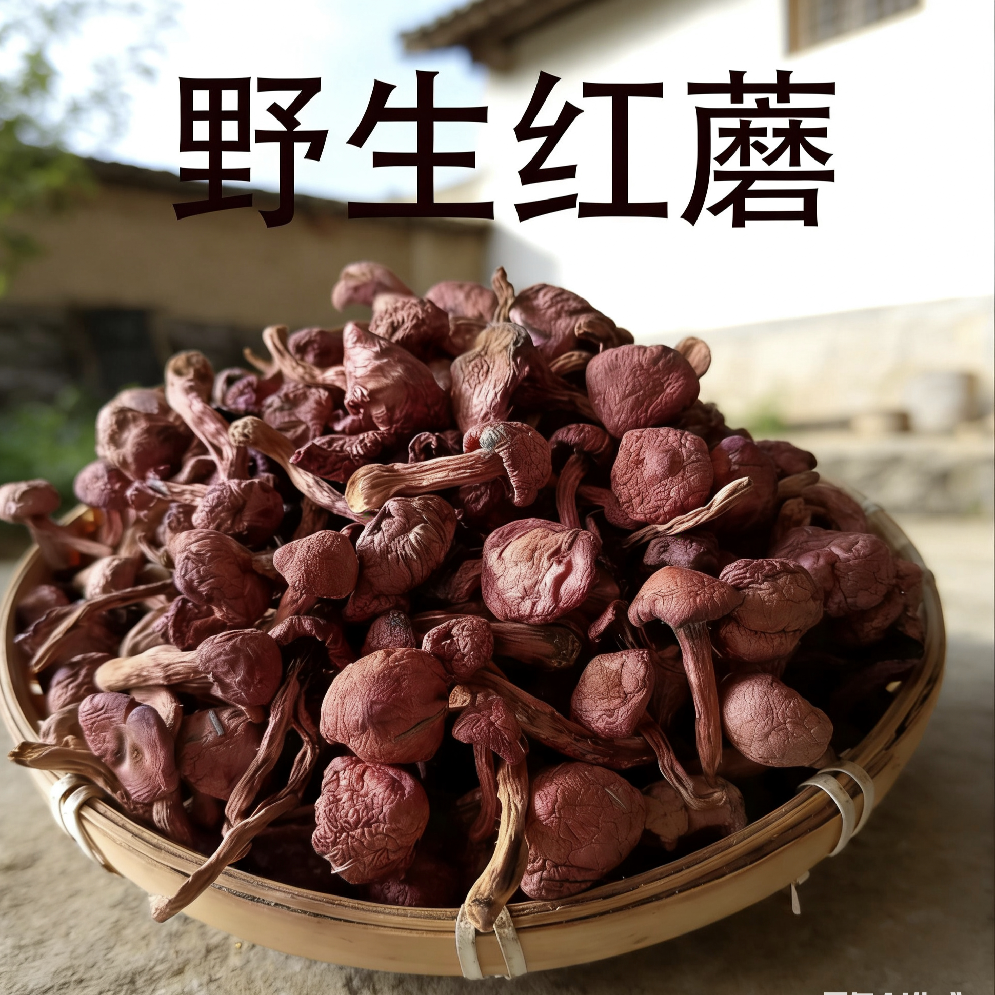 野生红蘑丁东北特产无硫松树伞肉蘑干货精品蘑菇农家自晒红蘑