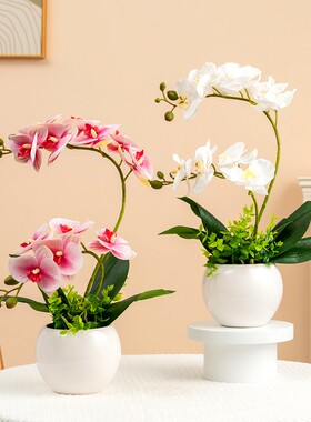 黄色蝴蝶兰仿真花绢花摆件装饰品客厅室内电视柜假花摆设花跳舞兰