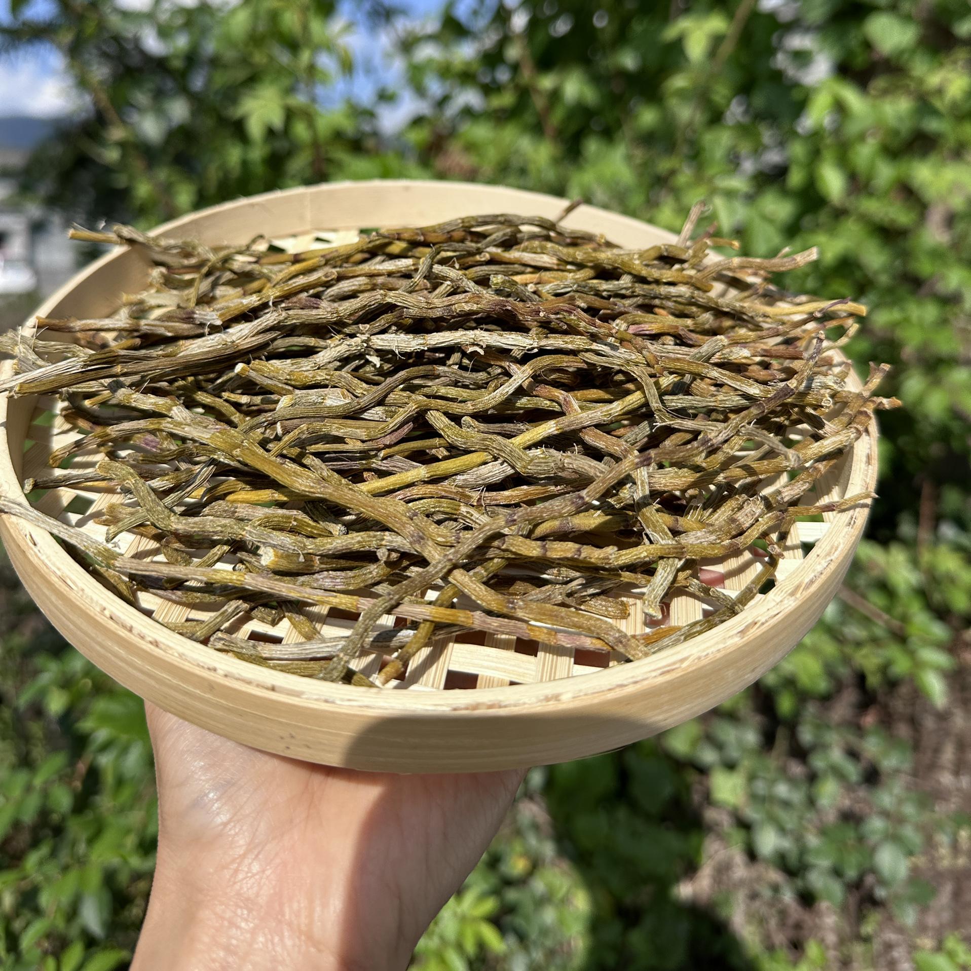 云南土特产铁皮石斛胶质浓郁