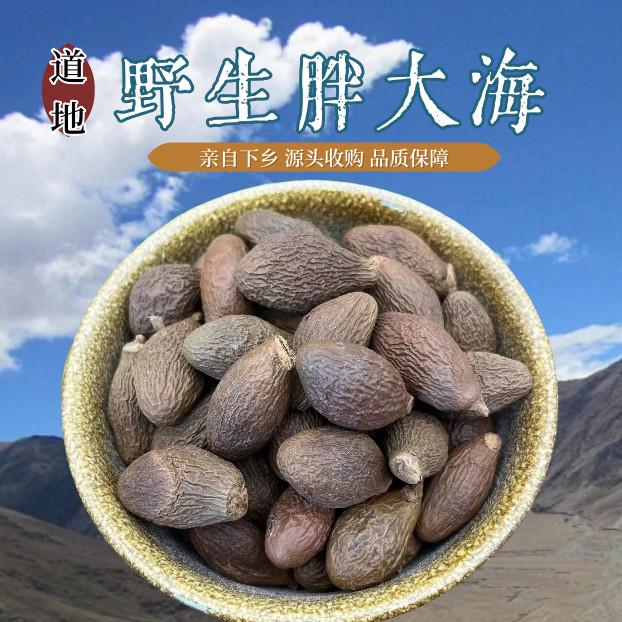 野生胖大海无硫磺纯中药材