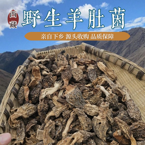 西藏野生羊肚菌特级干货