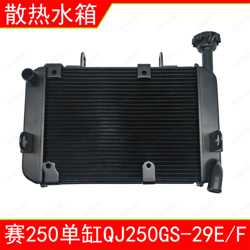 适用QJMOTO钱江赛250mini单缸QJ250GS-29E/F摩托车水箱散热器原厂