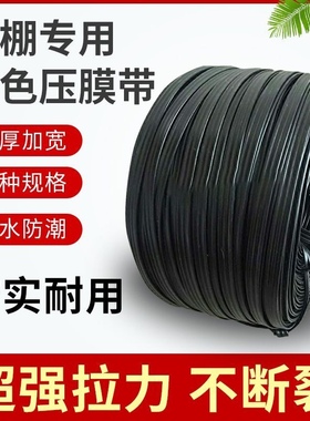 促销包邮温室大棚配件黑色压膜线抗老化压膜绳高强度压膜带托膜带