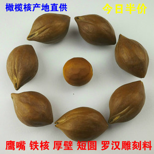 雕刻厚料大核近正圆短圆光珠油核单籽手串同树十八罗汉橄榄核原籽