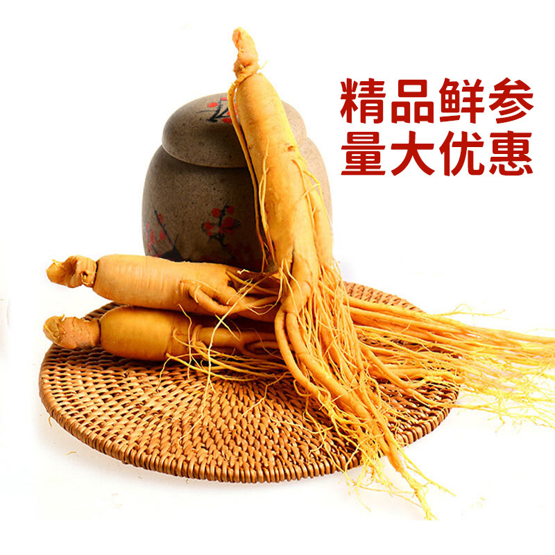 【220-450克】长白山人参鲜人参真空包装泡酒煲汤火锅泡水