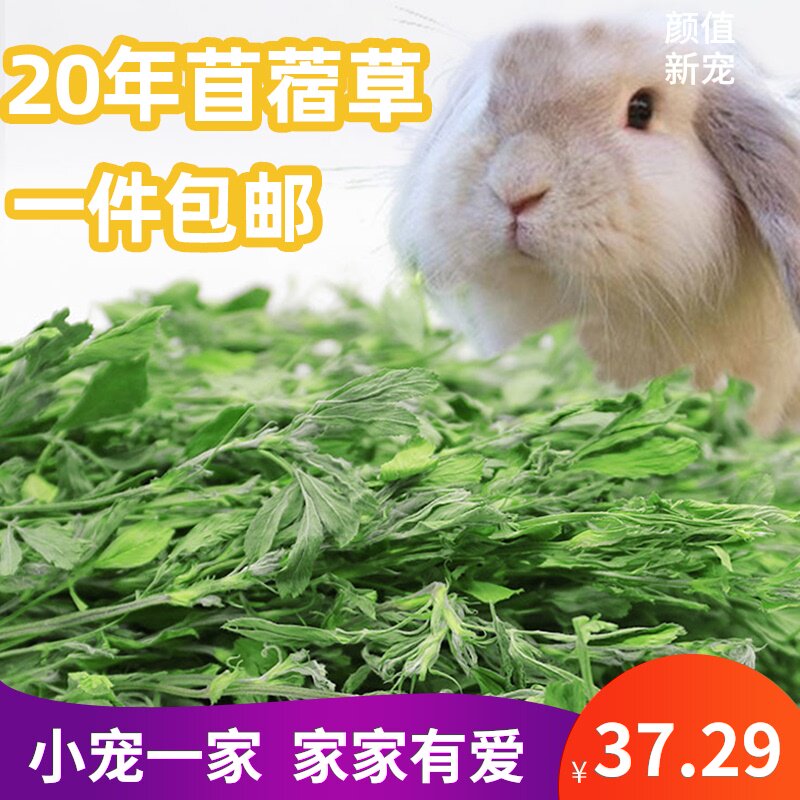 包邮绿色新苜蓿烘烤紫花苜蓿草干草兔粮兔子龙猫粮食荷兰猪兔草 蜂蜜的作用与功效 专业蜜蜂养殖蜂产品知识资讯网 蜂行天下网