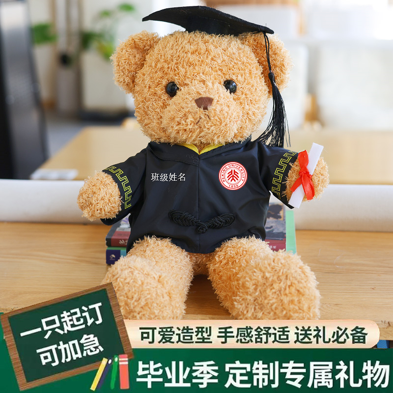 毕业礼物小熊公仔定制logo博士熊