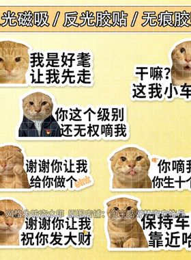 耄耋车贴猫咪meme表情包汽车贴纸磁吸反光搞笑创意文字车窗装饰贴