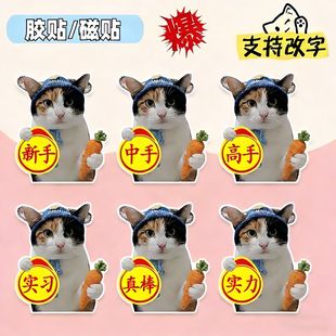 真棒猫实习车贴萝卜纸巾meme猫咪搞笑个性文字表情包创意装饰贴
