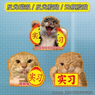 猫咪meme实习贴搞笑车贴耄耋哈基米创意装饰贴纸磁吸反光车贴