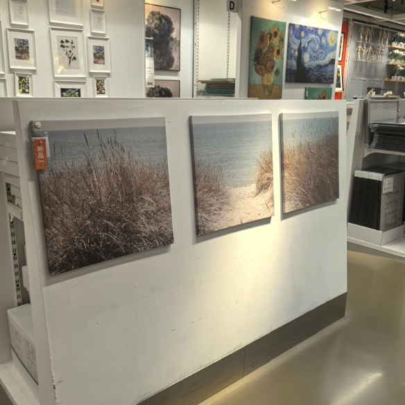 IKEA宜家皮亚特 图片瑞典的沙丘56x56 厘米装饰画墙面装饰品 代购图片