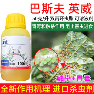 正品巴斯夫英威50双丙环虫酯进口杀虫剂蚜虫腻子烟粉虱专用农药