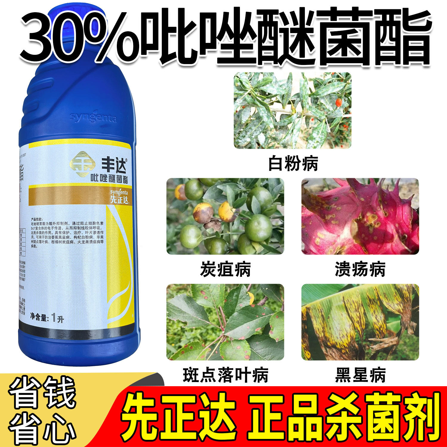 老牌子先正达丰达金选30%吡唑醚菌酯枸杞炭疽病溃疡药农药杀菌剂