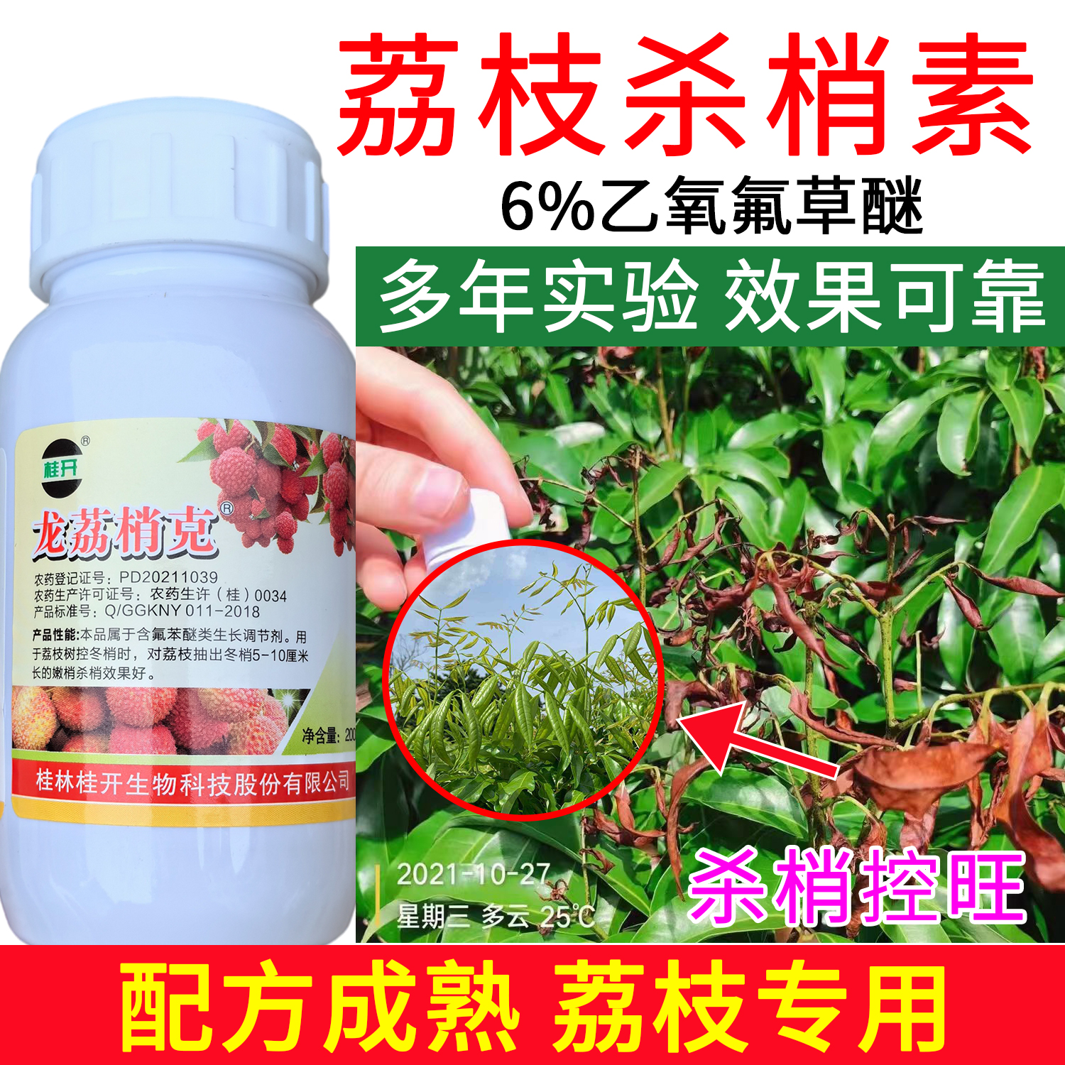 桂开龙荔梢克荔枝专用