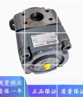 布赫齿轮泵QXM21-010N液压泵QX24-003R06油泵QXV33-016R高压泵