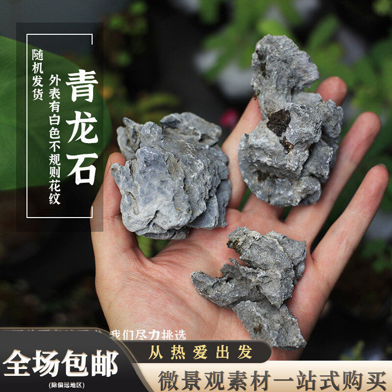 青龙石鱼缸水陆缸造景石微景观盆景摆件装饰小石头草缸点缀花盆石