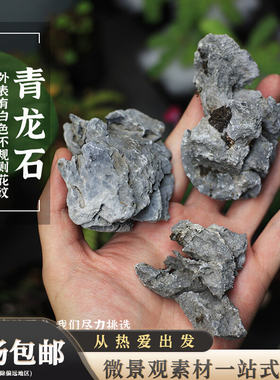 青龙石鱼缸水陆缸造景石微景观盆景摆件装饰小石头草缸点缀花盆石