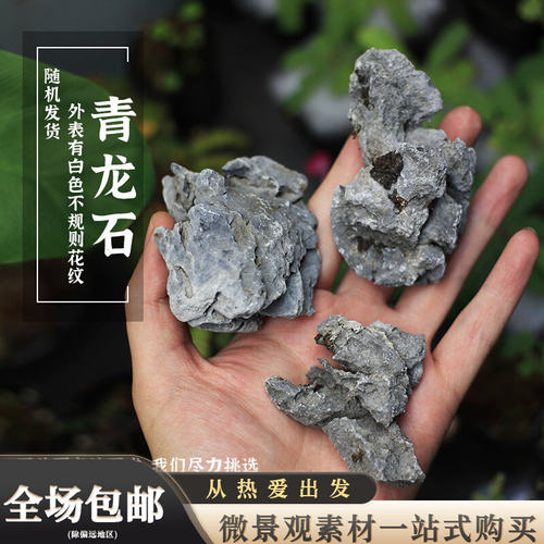 青龙石鱼缸水陆缸造景石微景观盆景摆件装饰小石头草缸点缀花盆石