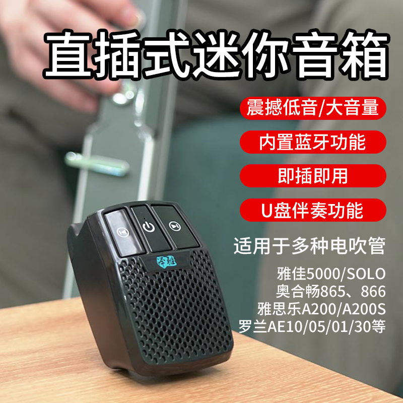 电吹管专用音箱直插式小音箱乐器音响雅佳通用u盘九幽外接扩音器