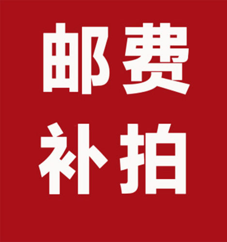 电吹管/音箱邮费补差专用