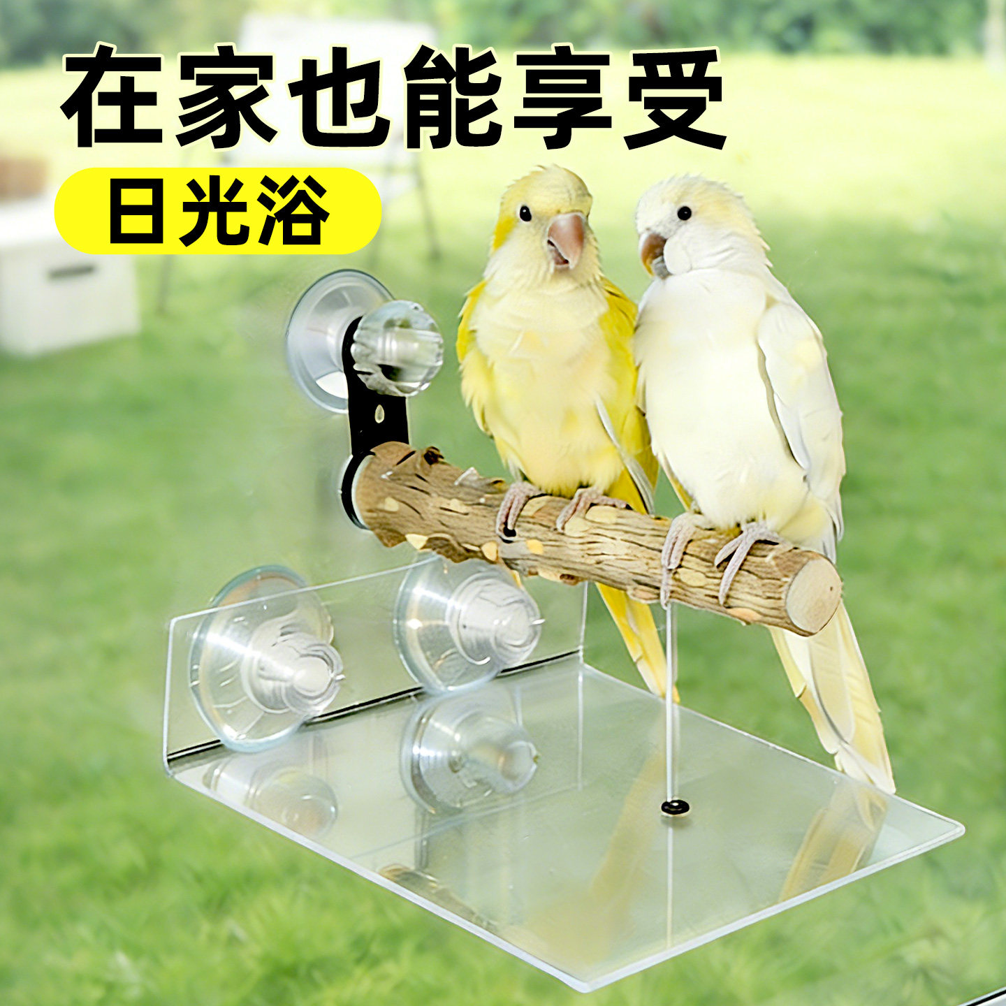 鹦鹉站杆吸盘磨爪棒车载站架定点排便专用玩具牡丹小太阳玻璃托盘